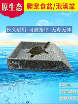 Natural granite stone turtle drinking plate Drinking basin Feeding basin Tortoise climbing pet landscaping Tree frog Spider special
