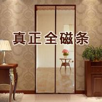 Summer door curtain screen curtain with suction iron door anti-mosquito screen mesh door curtain mosquito curtain Breathable and durable rural ventilation
