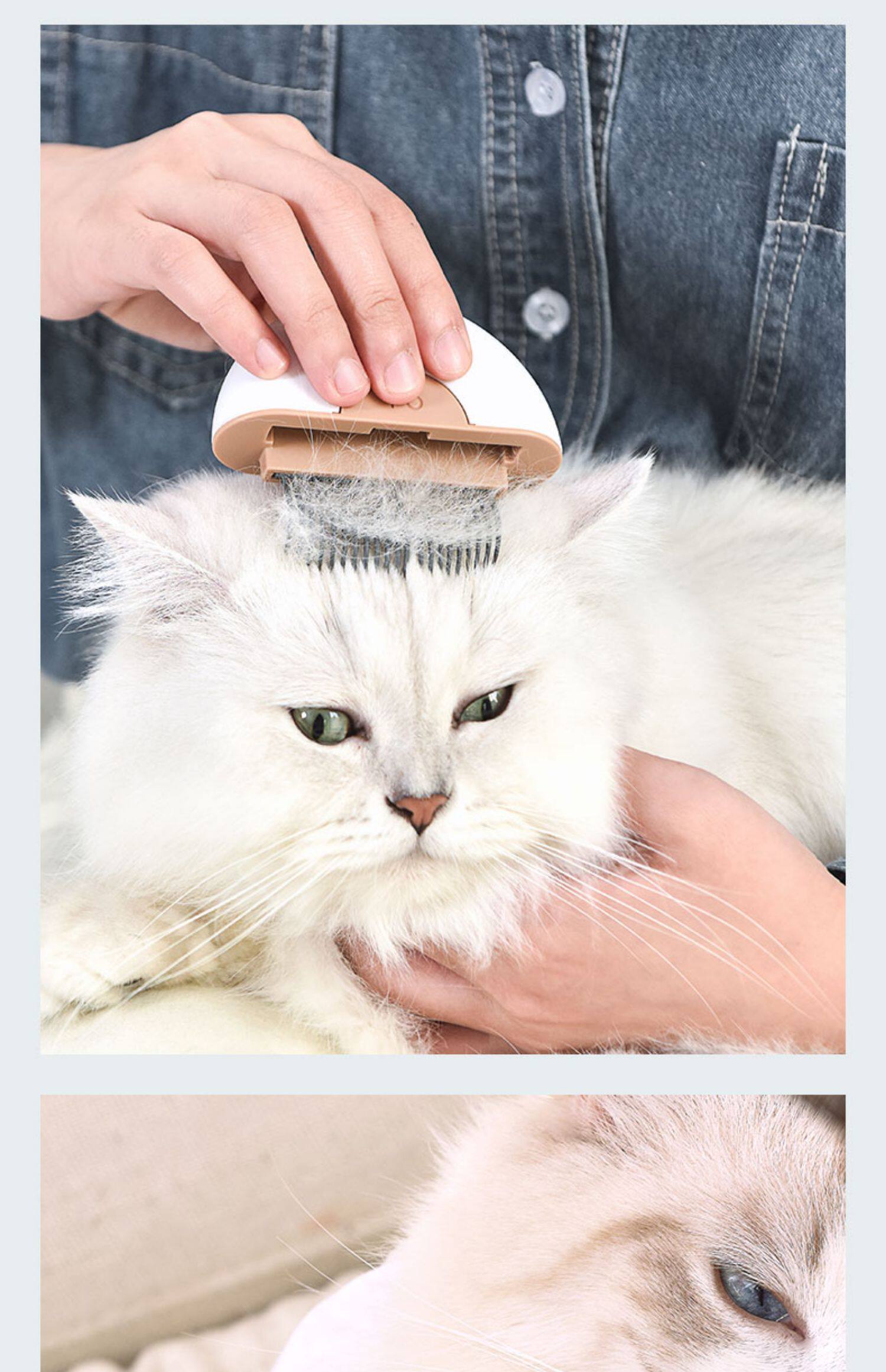 宠物猫咪专用梳子长毛短毛英短布偶掉毛梳毛刷神器贝壳去浮毛用品