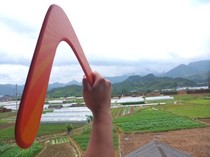 Wooden childrens boomerang flying V-shaped frisbee Outdoor Toy Boomerang Boomerang Boomerang V-shaped Boomerang Boomerang Boomerang Boomerang Boomerang Boomerang Boomerang Boomerang Boomerang
