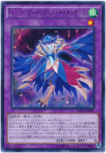 『玩立方☆正版卡牌』R 银字 抒情歌鸲-独立夜