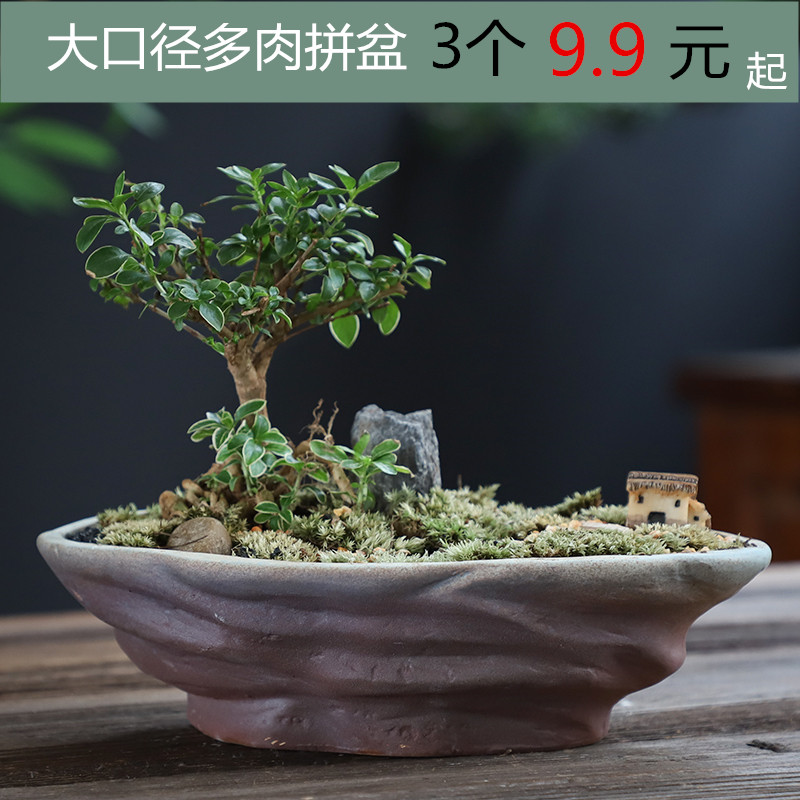 Large diameter ceramic flowerpot more meat creative brief, coarse pottery Large platter flowerpot indoor flower pot in special offer a clearance