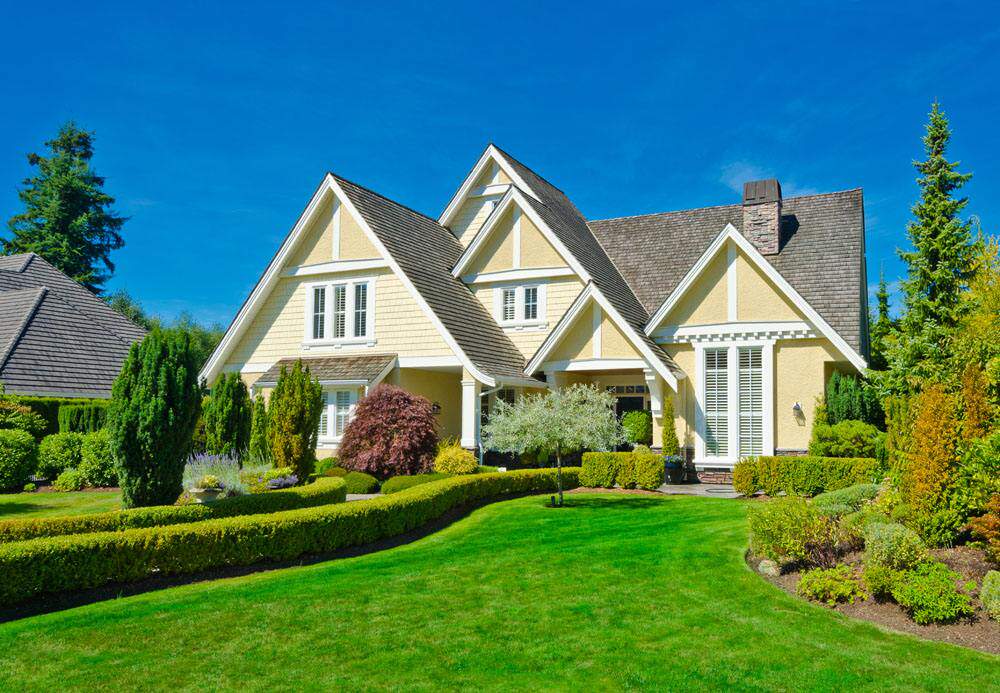 草坪种子高尔夫别墅草坪种子 四季常青耐践踏