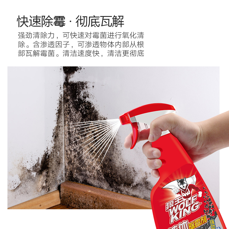 wolf king white wall in addition to mildew household wall paper wall mold removal artifact to remove mildew and mildew mildew cleaning and mildewing agent