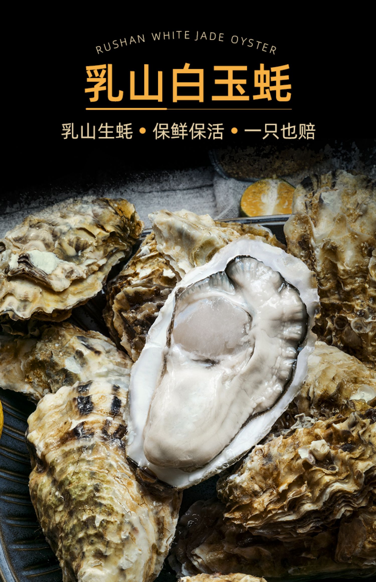 贝司令乳山生蚝鲜活新鲜牡蛎即食