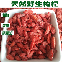 New product Ye Shan Cai Gansu natural pure wild wolfberry 500 grams of premium sulfur-free large particle wolfberry