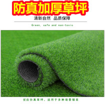 Fruit Turf Mat Artificial Fabrication Simulation Fake Green Lawn Rug Water Fruit Shop Outdoor Football Field Plastic Decoration Paving