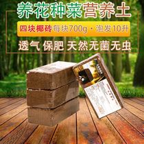 Mat Broccoli Brick Earth Sterile Fattening Floral Broccoli 10 catty Compressed Coarse Climbing broccoli Coconut Broccoli reared