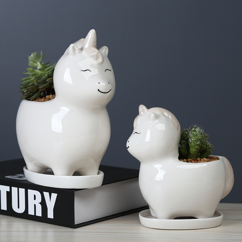 Flowerpot ceramic creative cartoon, fleshy meat meat basin is the balcony decoration desktop lovely the plants potted tray