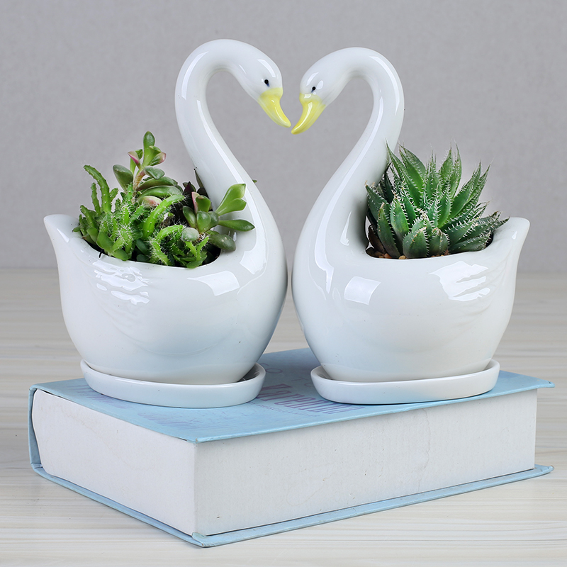 Contracted the Nordic style, small and pure and fresh green plant white ceramic flower pot tray was creative move indoor fleshy flower pot