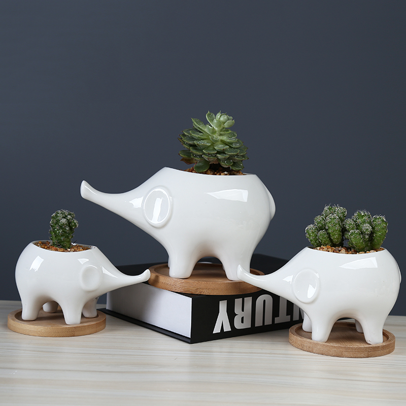 White cartoon fleshy flowerpot ceramic move to the desktop decorative the plants and animals elephants spend with tray