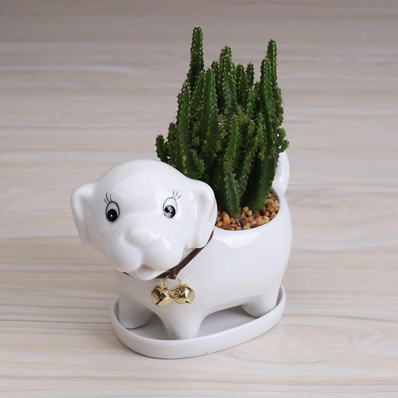 Cartoon animal flowerpot ceramic creative move more meat to contracted home sitting room plant flower implement small furnishing articles