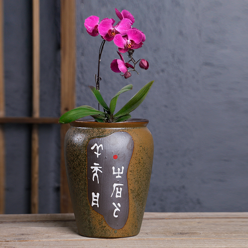 More meat pot ceramic orchid the plants creative move restoring ancient ways coarse pottery breathable Lao - zhuang butterfly orchid special offer a clearance