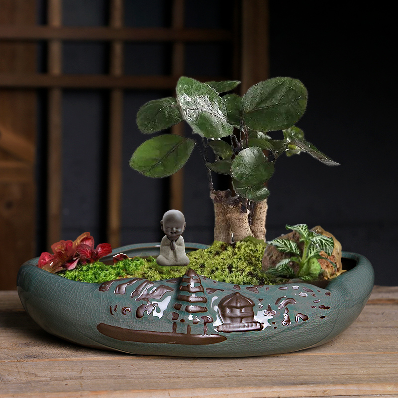 Elder brother up POTS ceramics China creative wind bonsai home rich tree green plant basin of potted plant large, fleshy