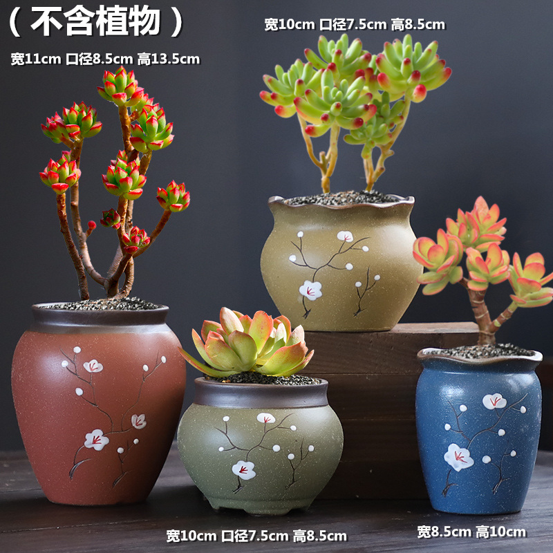 Coarse pottery breathable old running the fleshy flowerpot indoor household meat meat large contracted special offer a clearance pottery flowerpot more meat