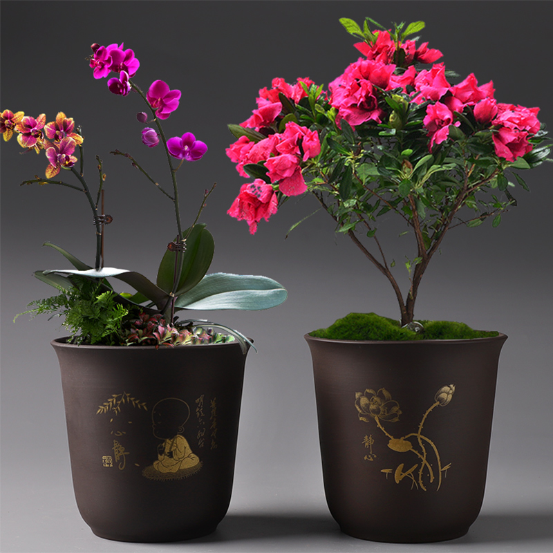 Flowerpot purple ceramic special offer a clearance of creative move contracted basin of Chinese style meat meat meat more than other household orchid