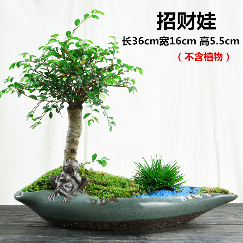 Flowerpot ceramic micro creative move large potted landscape bonsai green plant other Chinese style household special offer a clearance