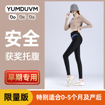 Nordic pregnancy early pregnancy early pregnancy pregnant women pants wear autumn and winter plus velvet padded pants leggings