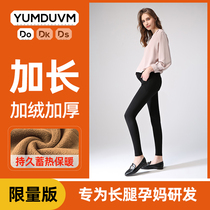 Pregnancy extended version of tall pregnant women leggings autumn and winter wear velvet trousers winter pants large size small leggings
