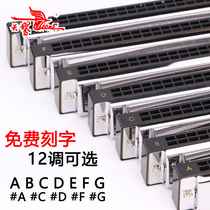 Swan Harmonica 24 Hole Complex C Tone# ABCDEFG Tone Beginner Children Male and Female Beginner Adult Playing Musical Instrument