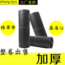 Orchard Agricultural Weed Fruit Tree Anti-Cuffled Vegetable Greenhouse Laid Lawn Cover Cloth