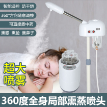 Household steam fumigation nozzle Eyes Nose Face Waist Cervical spine Knee joint Perspiration instrument Chinese medicine fumigation machine