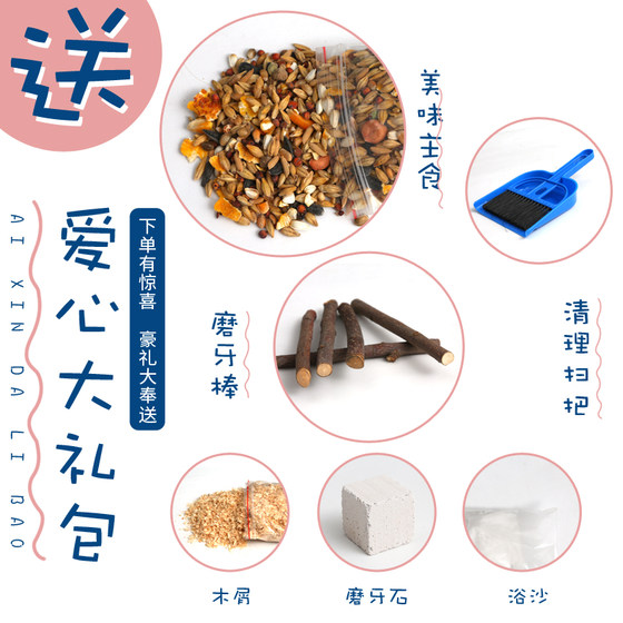 햄스터 케이지 아크릴 트레이 유형 정문 단일 2 층 플랫폼 투명 대형 빌라 황금 실크 베어 햄스터 케이지 햄스터 케이지 아크릴 트레이 유형 정문 단일 2 층 플랫폼 투명 대형 빌라 황금 실크 베어 햄스터 케이지