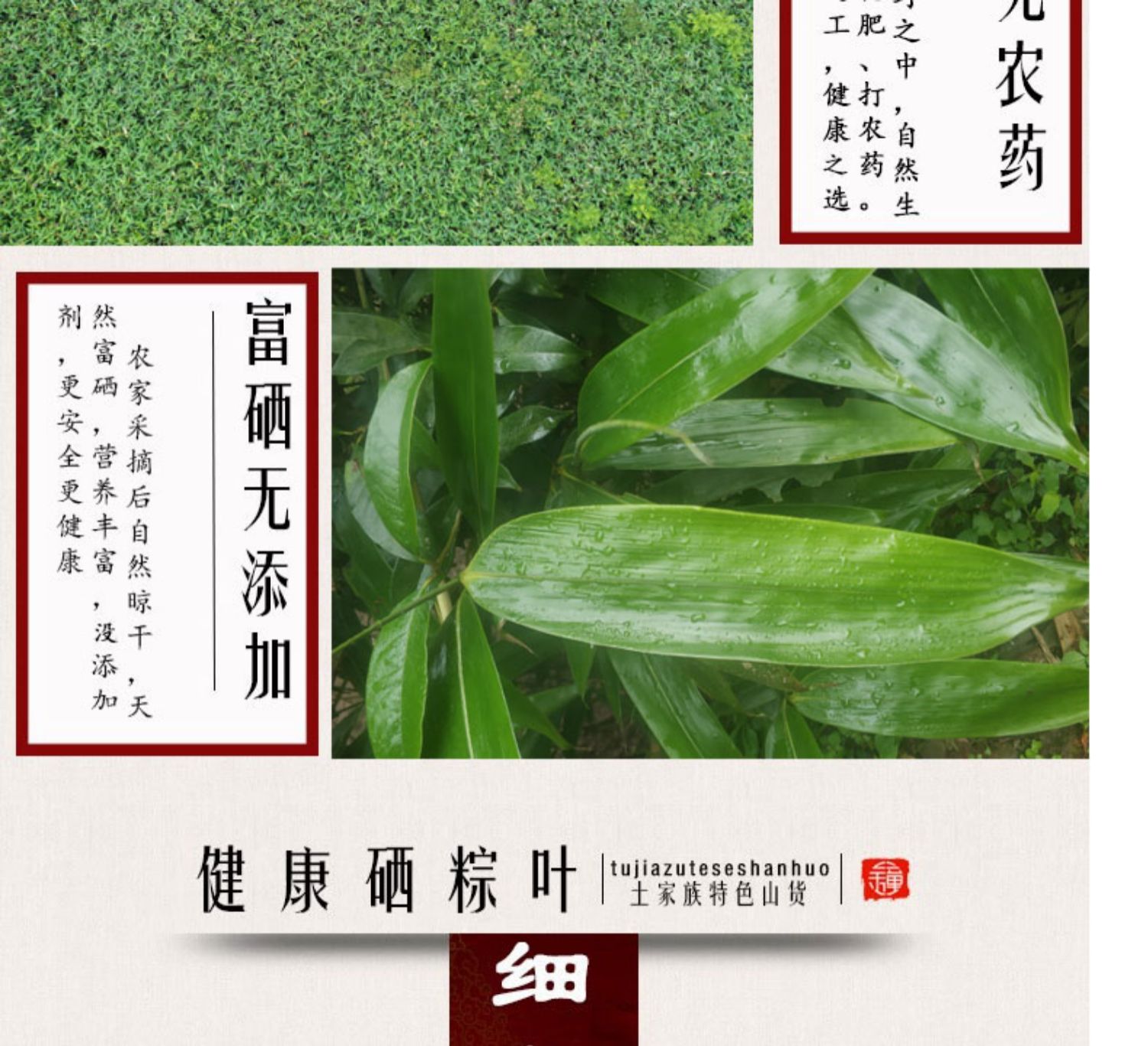 【送绳 教程】新鲜干粽叶160张