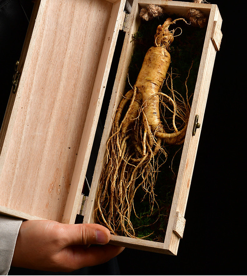 单支150g东北长白山人参鲜人参泡酒煲汤大人参礼盒装-呼和浩特国际