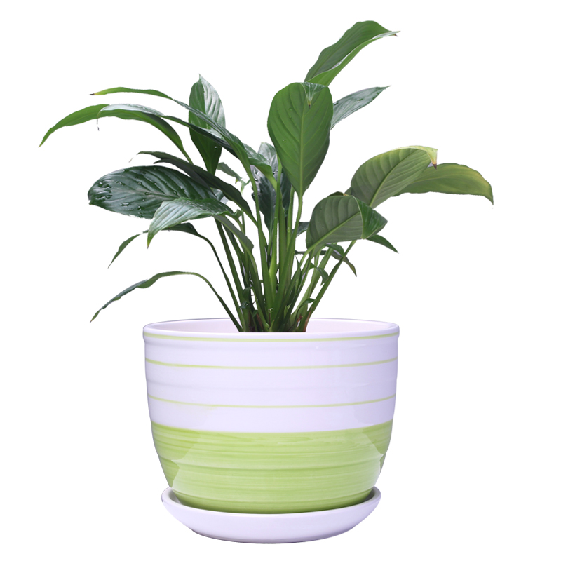 Flower - pot continental basin orchid pot scene clivia Flower pot indoor potted flowers, ceramic Flower pot