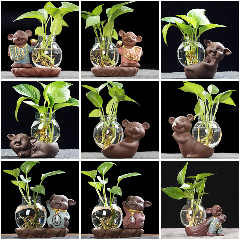 Other creative young monk pig home furnishing articles tea flower vases, ceramic containers hydroponic flower pot