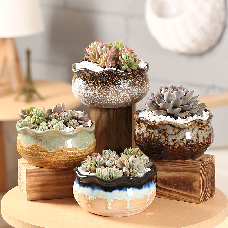 End fleshy flower POTS, large diameter ceramic platter composite basin simple indoor coarse pottery new large meat meat