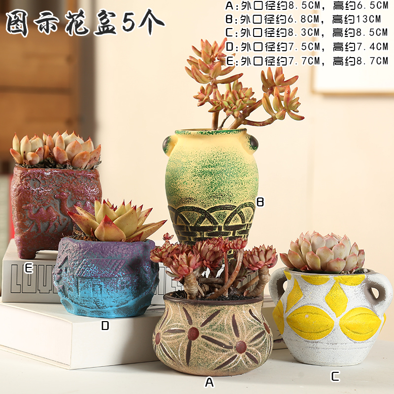 End restore ancient ways small coarse pottery large zhuang zi more meat flesh POTS of flowerpot ceramic special offer a clearance Mediterranean style