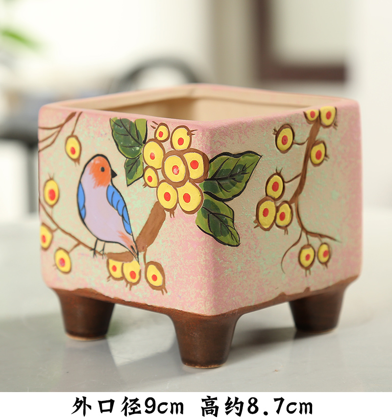 End fleshy flowerpot ceramic specials Korean hand - made birds through basin unit interior pockets pottery flowerpot more than meat