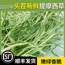 20 years sun-dried Timothy grass Rabbit Domestic North Timothy grass Rabbit Dutch Pig Chinchilla Molar forage 450g