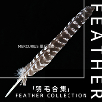 Black turkey feather knife Ling nest ostrich hair wind element