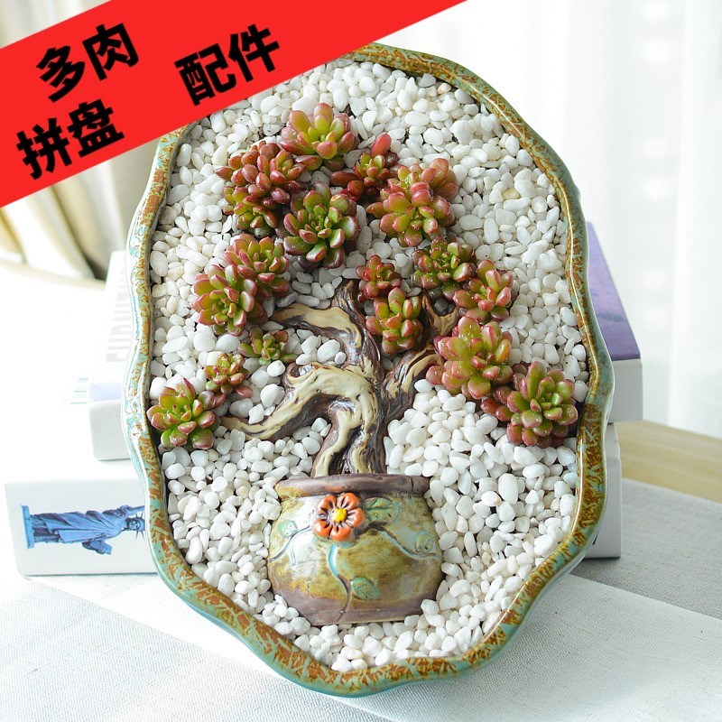 Large extra Large fleshy flowerpot gadgets gardening landscape bonsai branches fleshy decorative ceramic furnishing articles wholesale