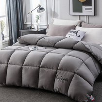 Antarctic people quilted in winter by space cotton Thickened Warm Spring Autumn Quilt by Dormitory Quilt Core cotton quilted by Four Seasons General BB