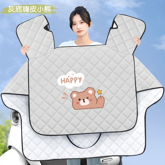 전기 자동차 윈드 쉴드는 선 스크린이며 여름 방수 배터리 오토바이 모든 계절 Universal Windproof 2025 새로운 모델 전기 자동차 윈드 쉴드는 선 스크린이며 여름 방수 배터리 오토바이 모든 계절 Universal Windproof 2025 새로운 모델
