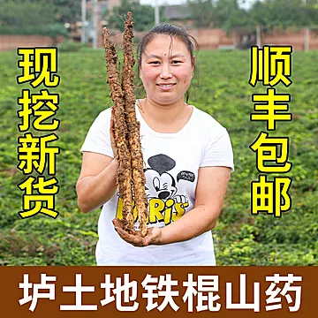 有机铁棍山药河南温县正宗垆土铁棍山药五斤[15元优惠券]-寻折猪