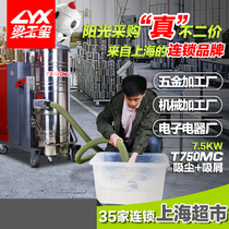 Tanron Industrial Vacuum Cleaner Factory Workshop Property Clean Wood Chips Dust Particles With Electric Vacuum Cleaner 750kg