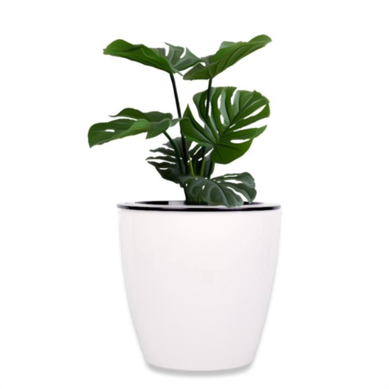 Flower implement other plastic Flower POTS with water basin oversized white imitation ceramic from absorbing water flowerpot money plant Flower pot