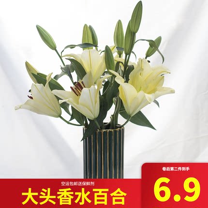 伊怡绿旗舰店