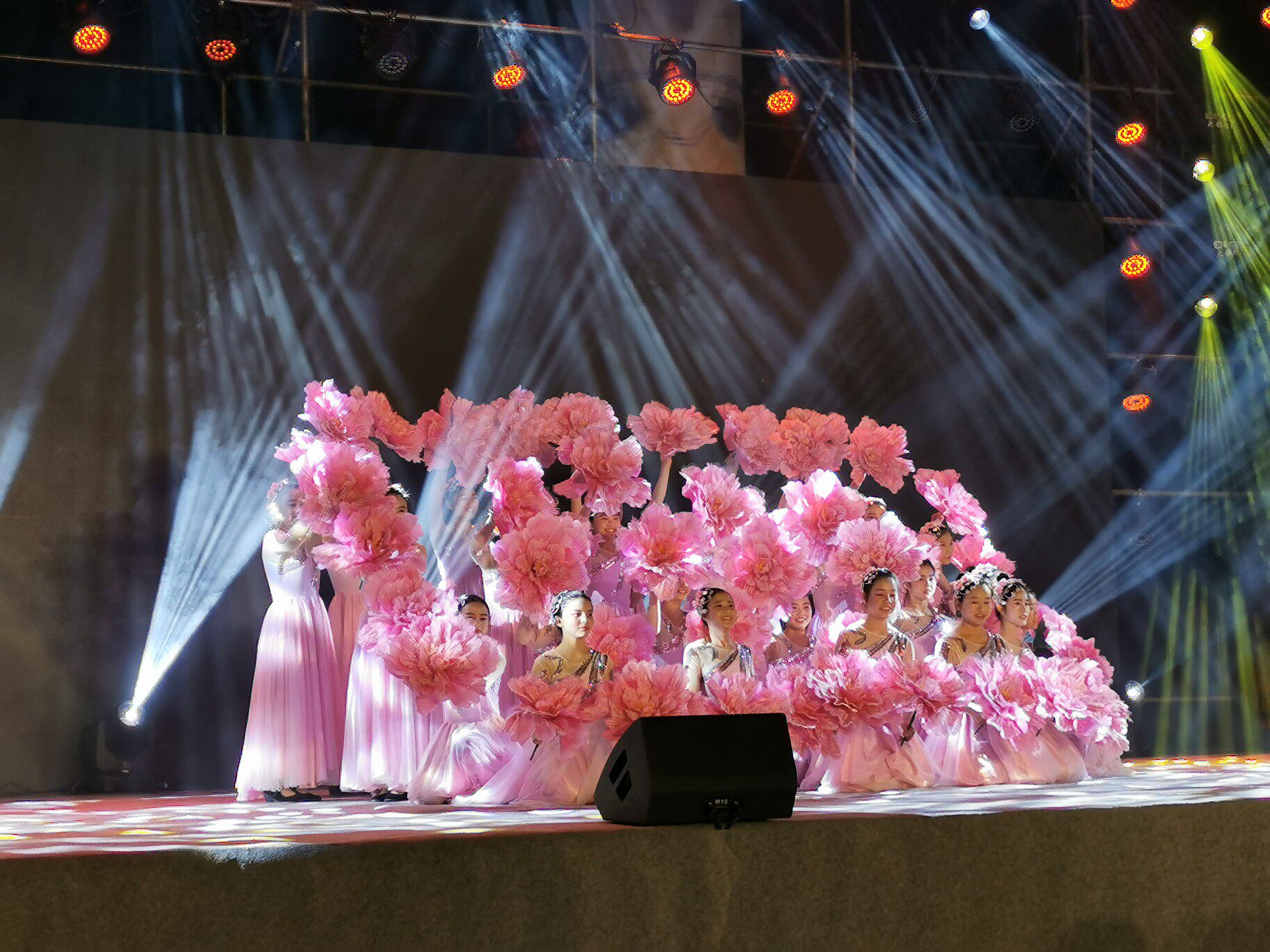 舞蹈道具牡丹花儿童跳舞手拿花广场舞跳舞演出花运动会入场式手花