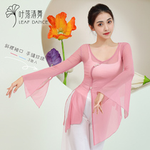 Ye Fang Qing Dancing Classical Dance Dress Chinese Dance Pearl Character Dressed Horn with Fairy Floating Classical Dance