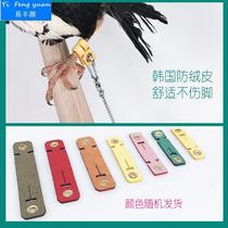 Leading Rope Flying Rope Ultra Light Bird Chain Foot Chain Foot Ring Octacog Training To Go Out For Bird Holding Parrot