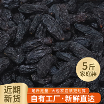 Black raisins no-wash ready-to-eat bulk 5kg 2021 New Xinjiang blackcurrant raisins super large particles
