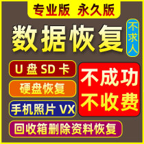 Computer Mobile Phone Data Recovery Memory SD Card Formatted U Hard Disk File Photo Chat History Repair Get Back