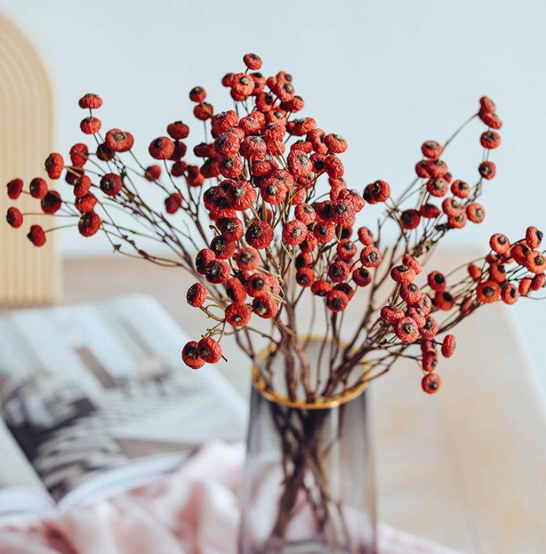 干花装饰摆件红豆蔷薇果真风干天然红果招财干花