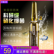 Baiinmei aquarium fish tank with ornamental fish Fresh water Seawater nitrifying bacteria Liquid digestive bacteria Active nitrifying bacteria